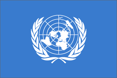 Bandera ONU